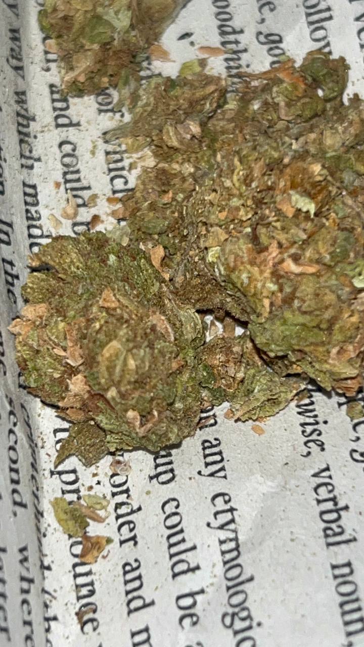 photo.jpg