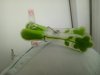 IMG_20200604_135259.jpg